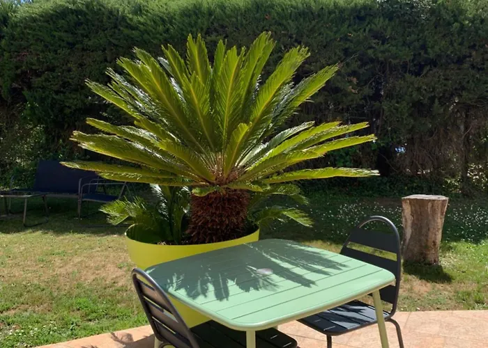 Studio Independant Neuf Avec Piscine Et Jardin